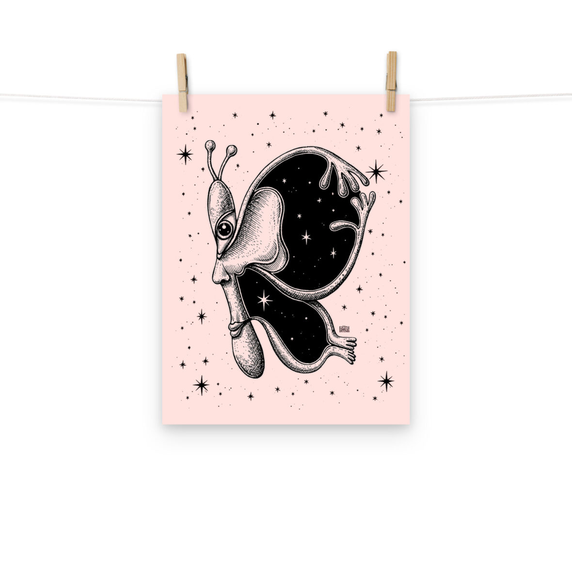 Lámina Lepidóptera 29x40cm rosa