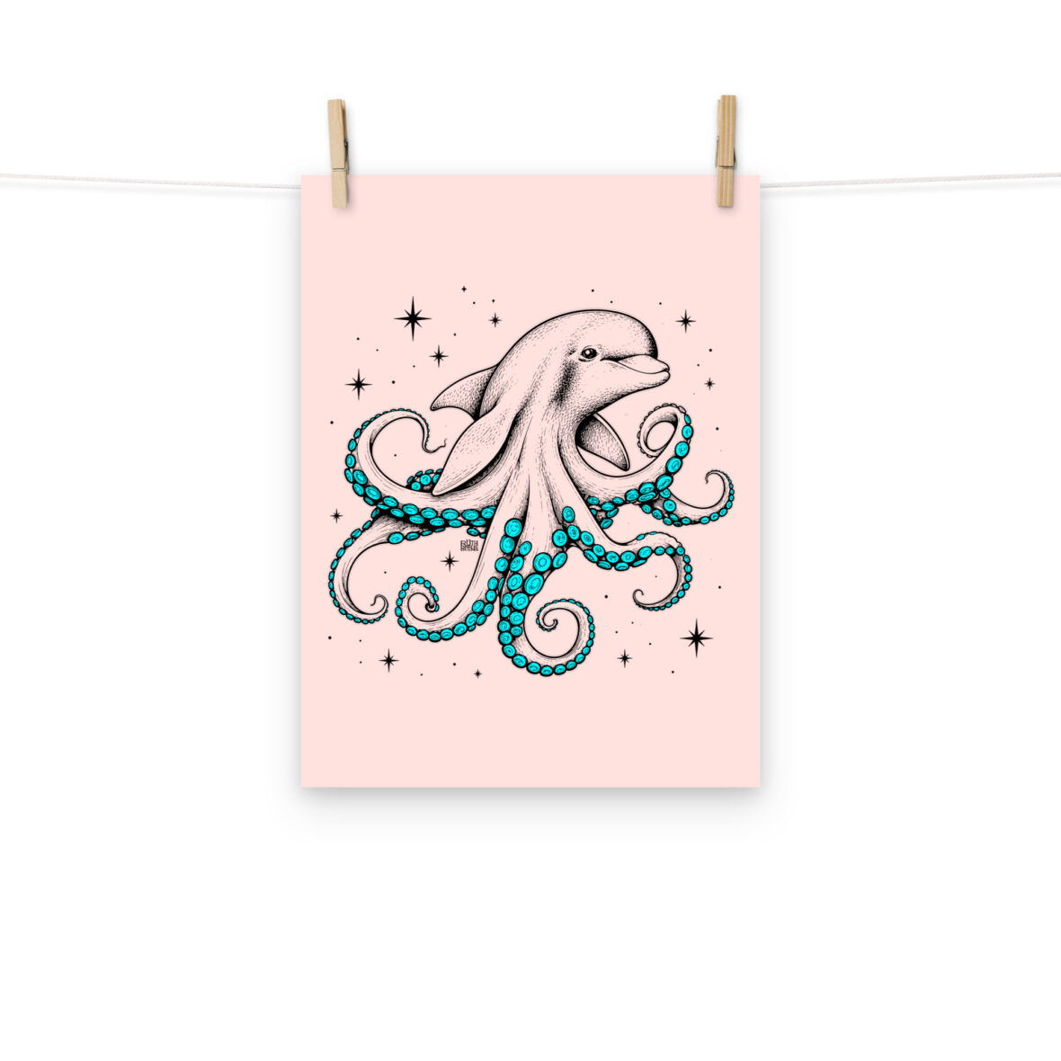 Lámina Delphinus 29x40cm rosa