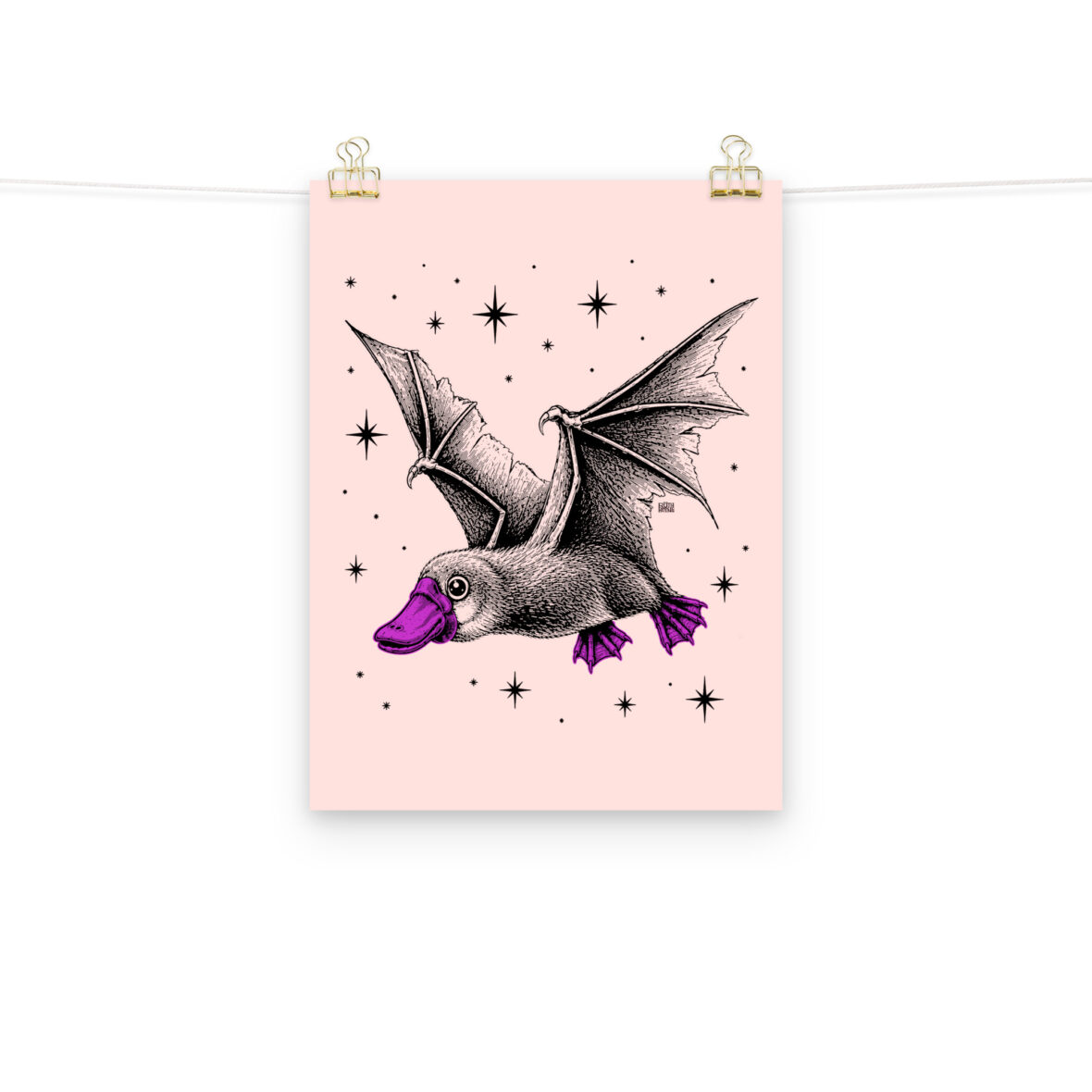 Lámina Ornitociélago 29x40cm rosa